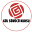 Gül Sürücü Kursu
